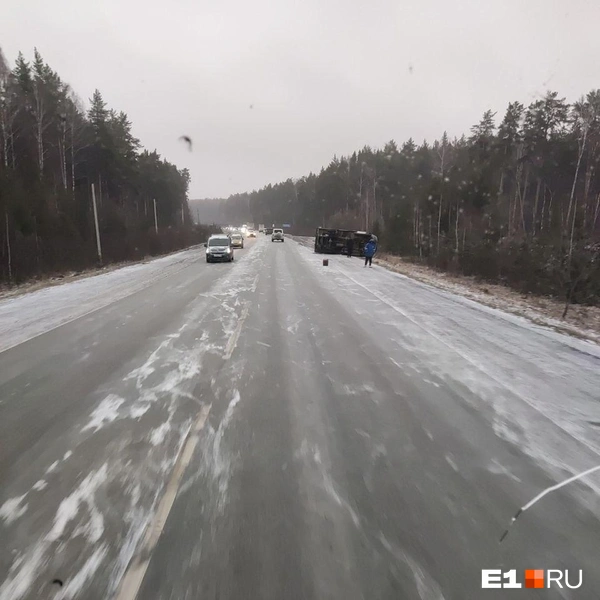 Источник: читатель E1.RU