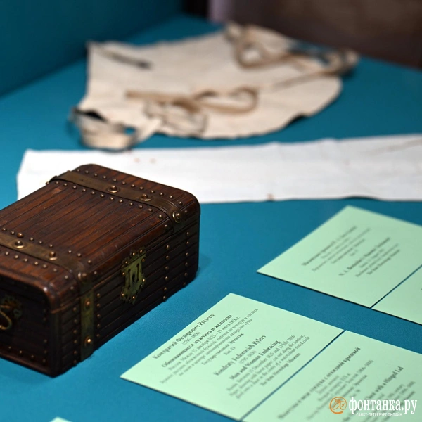 Источник: Илья Снопченко / FONTANKA.RU