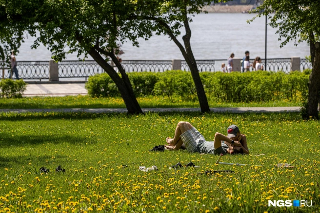 С такой погодой совсем скоро в городе все расцветет | Источник: Александр Ощепков / NGS.RU