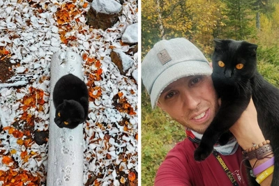 Perm Factory Releases Boots for Cat That Conquered Manpupuner