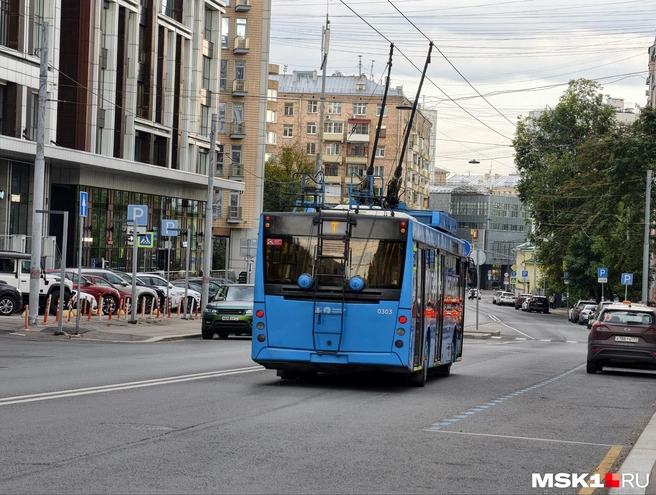 Маршрут Т в Москве | Источник: Дмитрий Бондарев / MSK1.RU