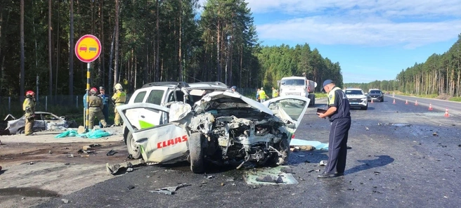 Водитель французского автомобиля, предварительно, выехал на встречку  | Источник: Госавтоинспекция Свердловской области 