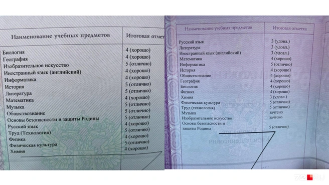 В разных школах в прошлом учебном году по-разному оценивали детей на физкультуре, музыке и изо | Источник: читатель 72.RU