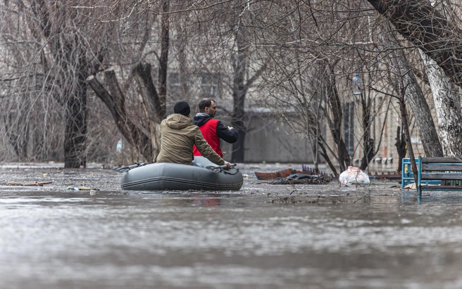 Сроки давно вышли, а декларация до сих пор не готова | Источник: Наталья Лапцевич / 74.RU