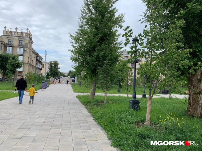 Идеальная картинка, как считаете? | Источник: Анна Лялькова / MGORSK.RU