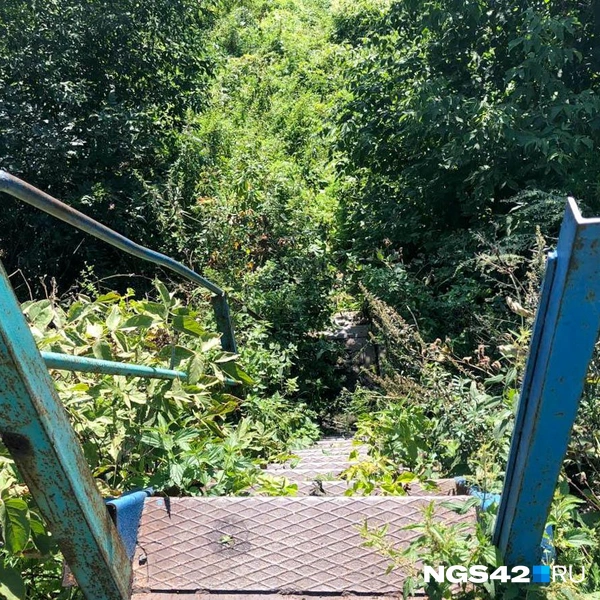 А вот так выглядит выход к воде | Источник: Александр Левчук / NGS42.RU
