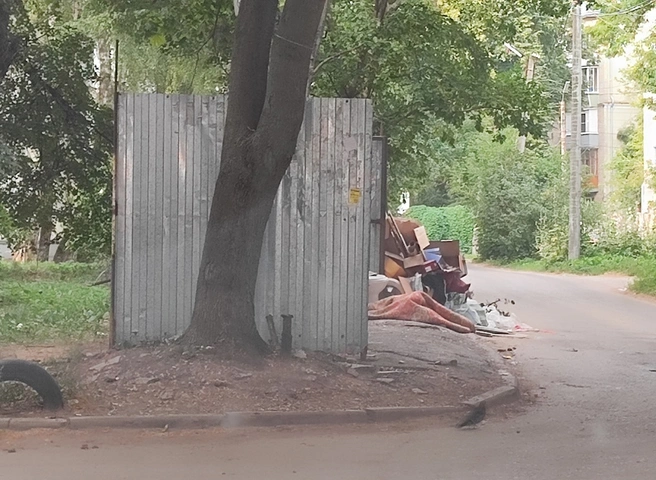 Рязанцы пожаловались на невывоз мусора в центре города | ya62.ru