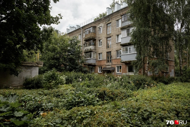 Почти всю площадь двора этой хрущевки занимает большая клумба с цветами и зеленью | Источник: Александр Куренной / 76.RU