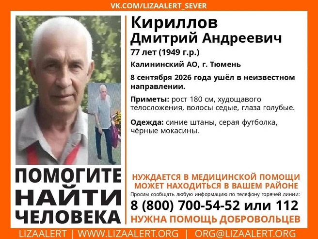 Источник: Лиза Алерт / t.me