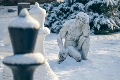 Погода на Дону: от плюса до сильных морозов