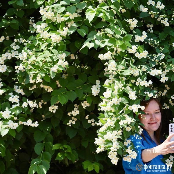 Источник: Валентин Егоршин / «Фонтанка.ру»