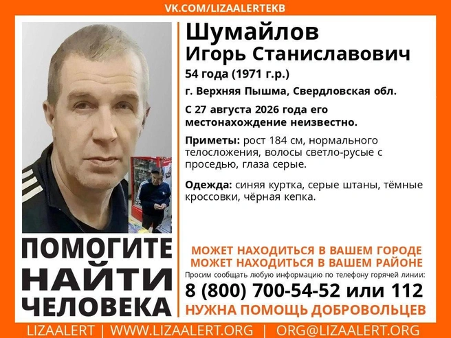 Источник: «ЛизаАлерт»