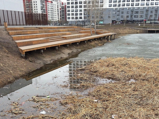 Не вся рыба, выпущенная в водоем в прошлом году, смогла пережить зиму | Источник: Группа «ЧС Тюмень» / ВКонтакте