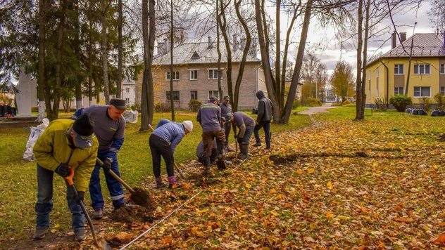 В городе Дно высадили 2000 растений для обустройства парка