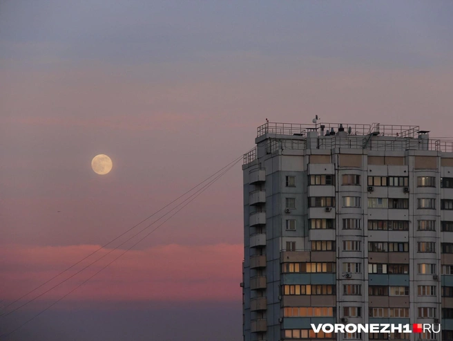 В пригороде Воронежа и в области сбили несколько БПЛА | Источник: Полина Листопад / Voronezh1.ru