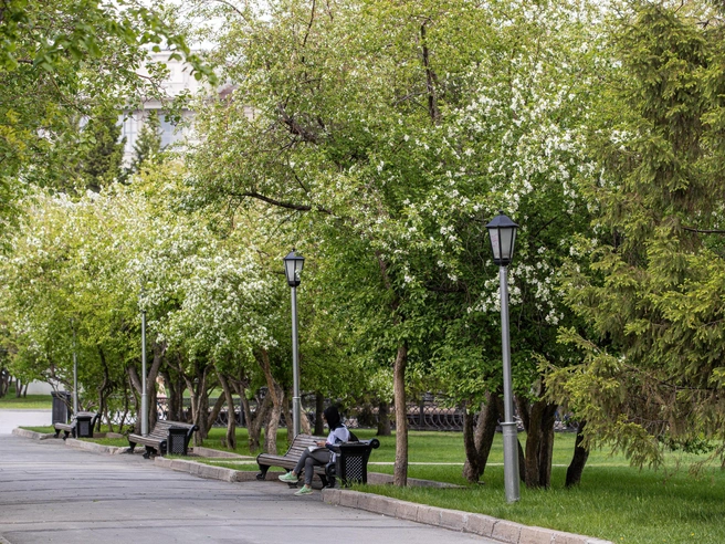 Перечень включает 27 городских территорий | Источник: Александр Ощепков / NGS.RU