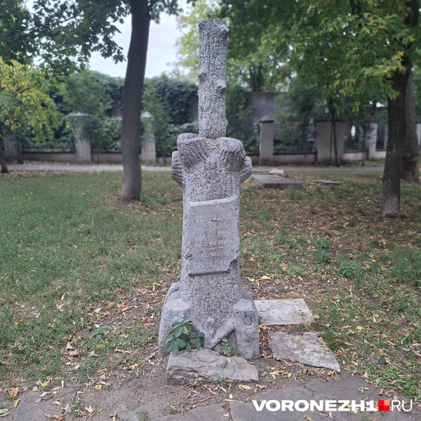 Источник: Алёна Воропаева / Voronezh1.ru