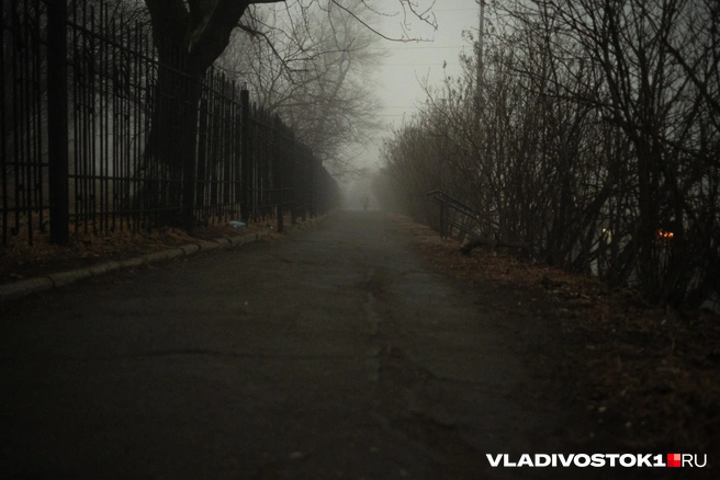 Источник: Елена Буйвол / VLADIVOSTOK1.RU