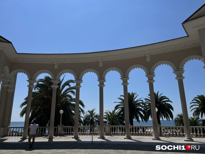 В Абхазии нет даже 300 тысяч человек  | Источник: Анна Грицевич / SOCHI1.RU