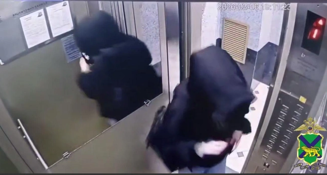 Кадр из видео МВД | www.fontanka.ru