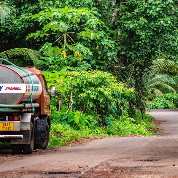 Вокруг пляжа есть старые и заброшенные португальские порты. Природа здесь буквально вгрызается в камни некогда оборонительных сооружений, постепенно возвращая себе утраченные земли | Источник: личный архив Ильи Морозова