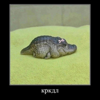 Аватарка Pelmeshka512