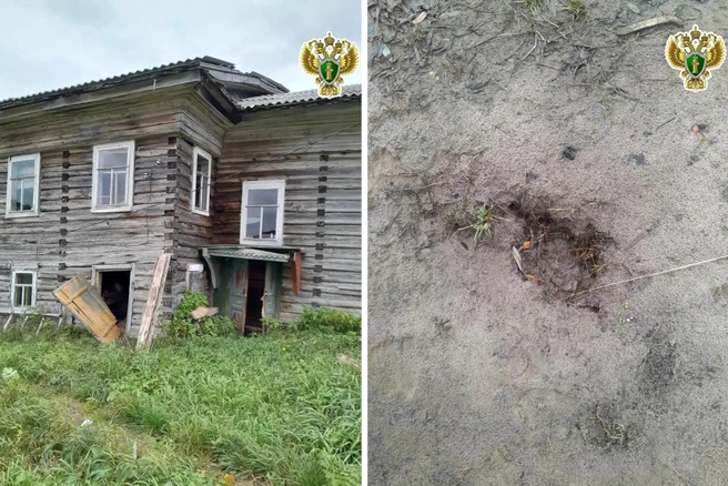 Источник: прокуратура Архангельской области и НАО