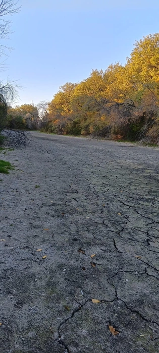 Еще весной здесь ловили рыбу и купались | Источник: читатели V1.RU