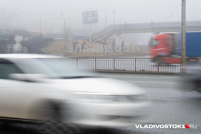 При покупке можно уложиться в 1,5 миллиона | Источник: Елена Буйвол / VLADIVOSTOK1.RU