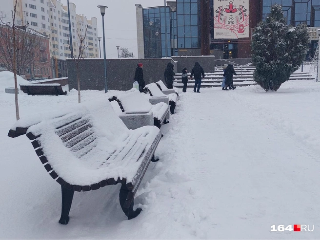 Зимы совсем без снега саратовцы не видели очень давно | Источник: Сергей Петунин / 164.RU