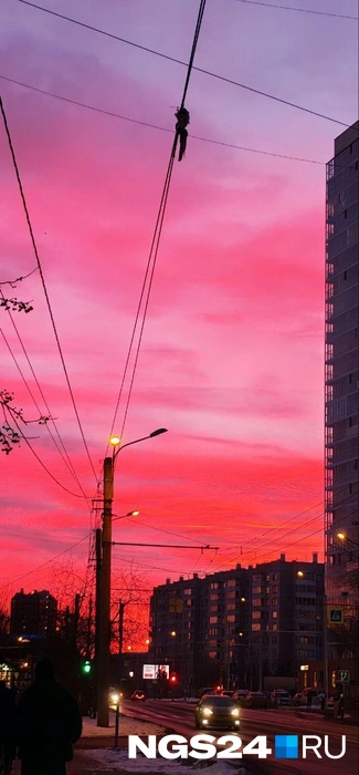 Все такое розовое | Источник: V I / NGS24.RU / Telegram