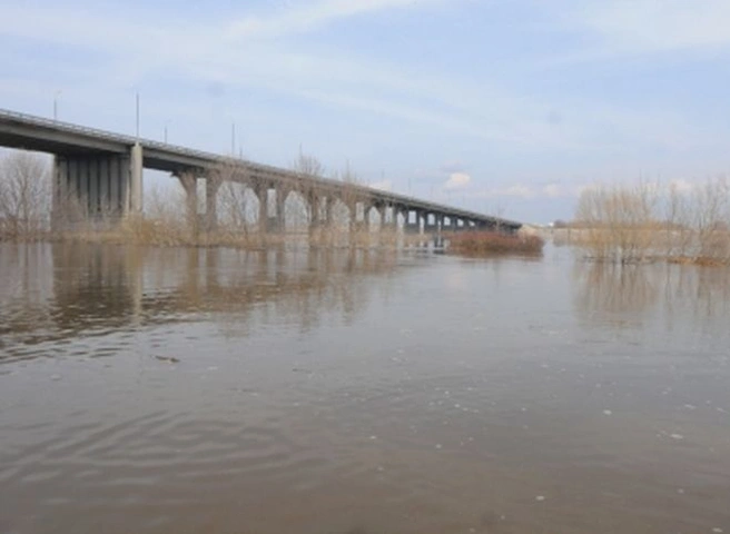 МЧС: за сутки уровень воды в Оке в черте Рязани понизился на один сантиметр | ya62.ru