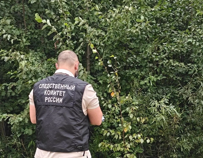 Источник: СУ СК России по Архангельской области и НАО