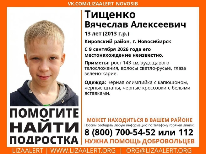Источник: «Поисковый отряд ЛизаАлерт Новосибирской области» / «ВКонтакте»