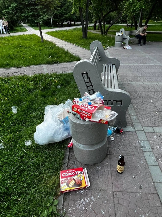 Горожанка считает, что в парке можно установить большой контейнер для мусора | Источник: читательница НГС