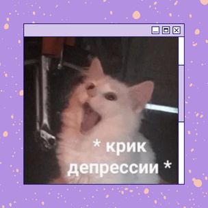 Все главные мемы года по версии «ВКонтакте»: вспоминаем, над чем мы смеялись в 2021-ом