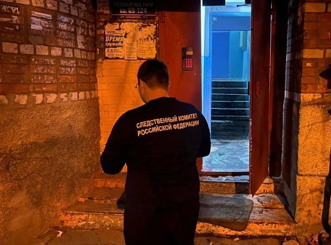 По итогам проверки следователи решат вопрос об уголовном деле | Источник: t.me/susk36vrn