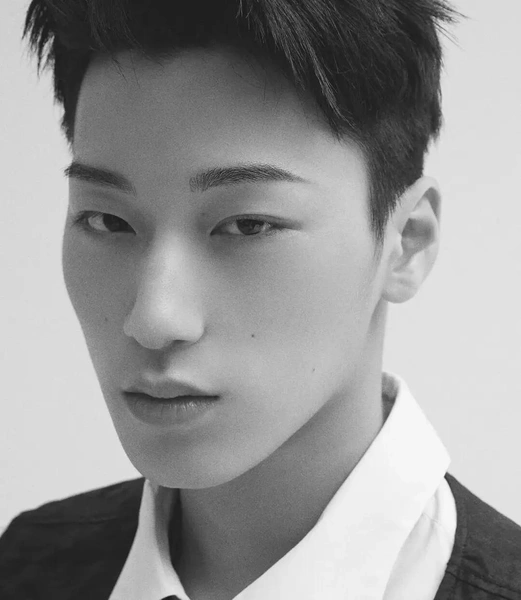 Источник: Kpop Wiki | Fandom