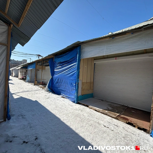 Источник: Елена Буйвол / VLADIVOSTOK1.RU