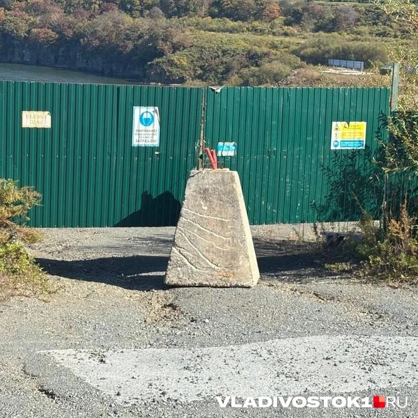 Источник: Елена Буйвол / VLADIVOSTOK1.RU