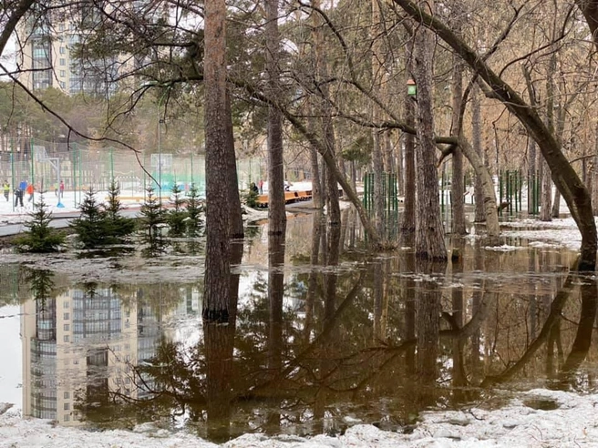 На газонах — вода | Источник: Рома Дик / Facebook.com