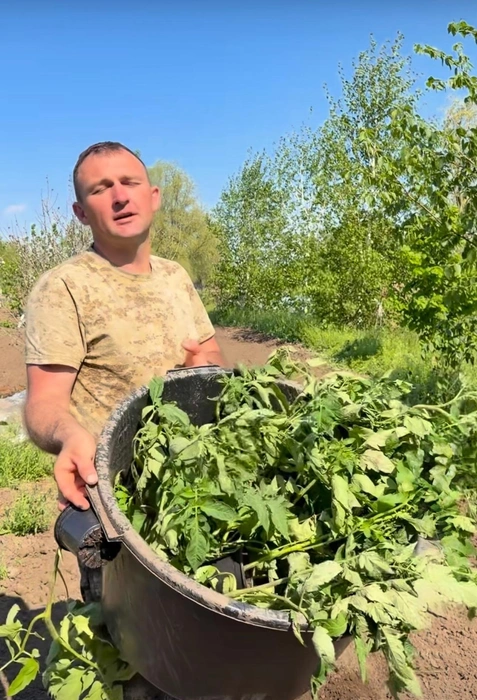 А какие секреты в огороде используете вы? | Источник: Николай Злыднев