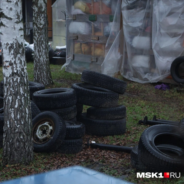 Источник: Дмитрий Толстошеев / MSK1.RU