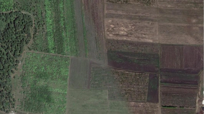 «Женева» в 2011-м и 2025-м | Источник: Google Earth