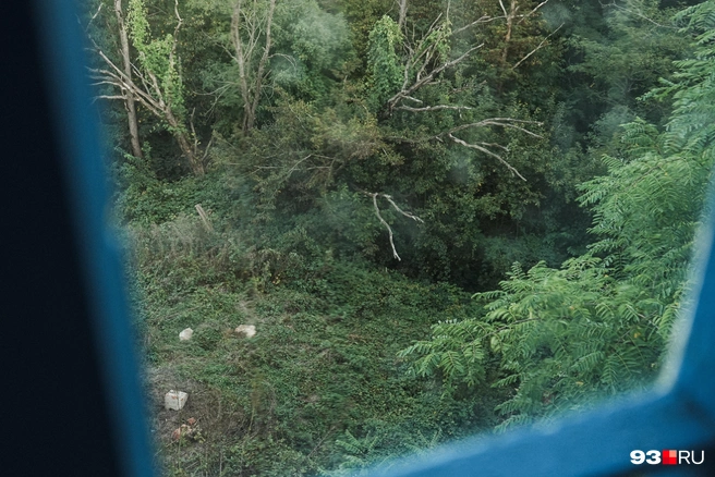 Вид в овраг, который образовался из-за оползня | Источник: Дарья Паращенко / 93.RU