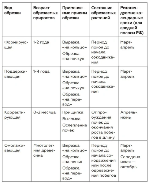 Как определить, нуждается ли растение в обрезке? Энциклопедия садовода