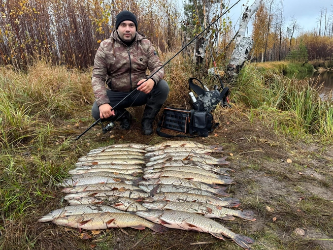 Югорские водоемы богаты на крупную щуку | Источник: Рыбалка в Сургуте [Fishing ХМАО] / vk.com