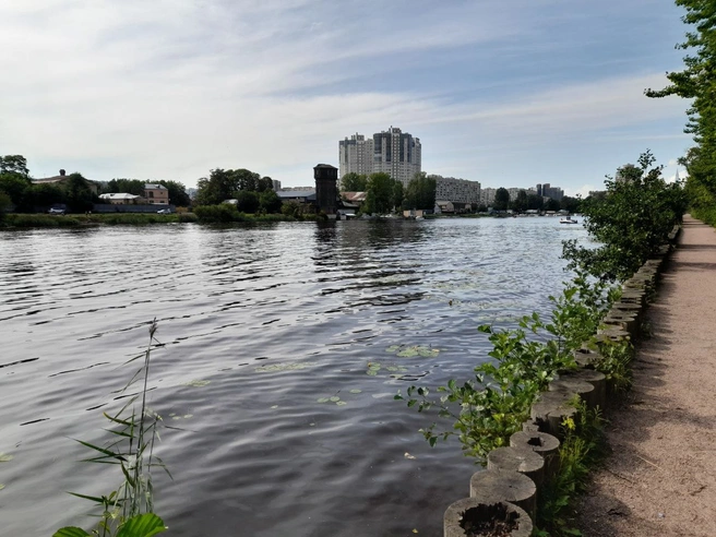 Городская прогулочная зона в Галерной гавани | Источник: Анна Мотовилова / «Фонтанка.ру»