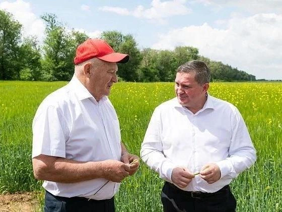 Андрей Бочаров и Александр Колесниченко | Источник: администрация Волгоградской области