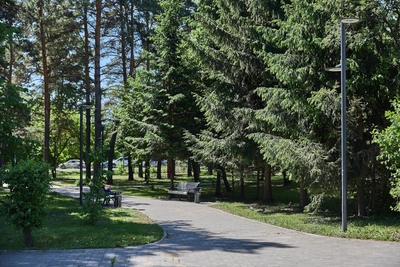 100 тысяч новосибирцев проголосовали за благоустройство парков